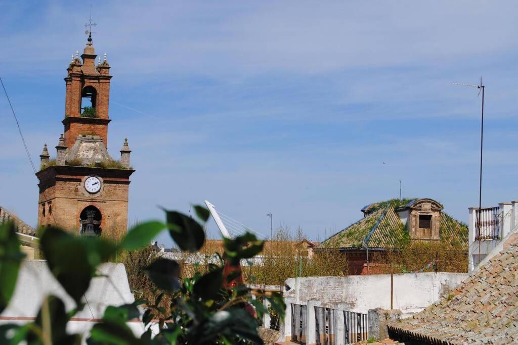 San Lorenzo Penthouse Sevilla Dış mekan fotoğraf
